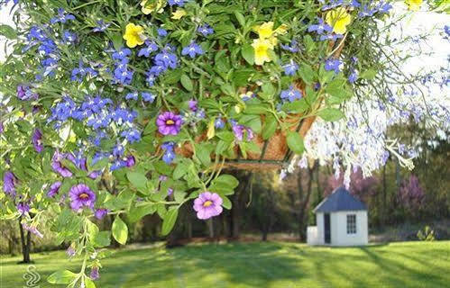 Orange Chestnut Hill Bed & Breakfast מראה חיצוני תמונה